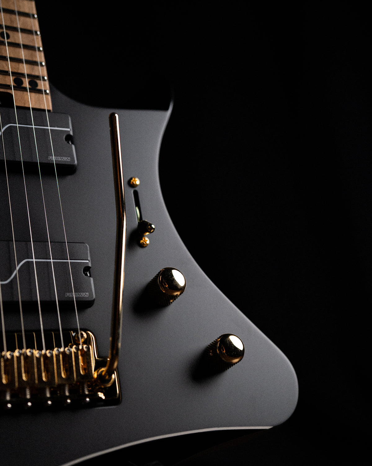 ĒMI 7 // MASTER SERIES // BLACK BEAUTY