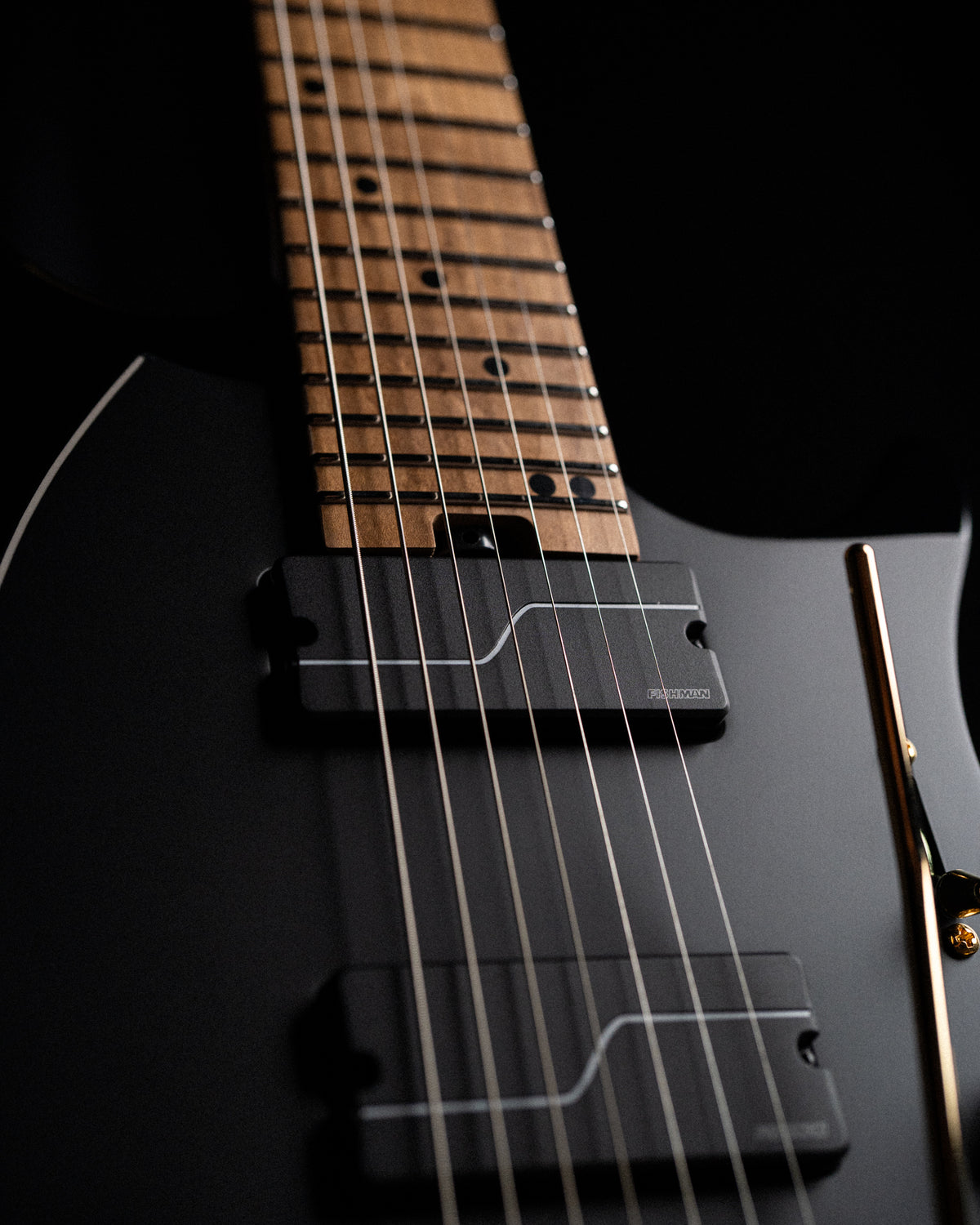 ĒMI 7 // MASTER SERIES // BLACK BEAUTY