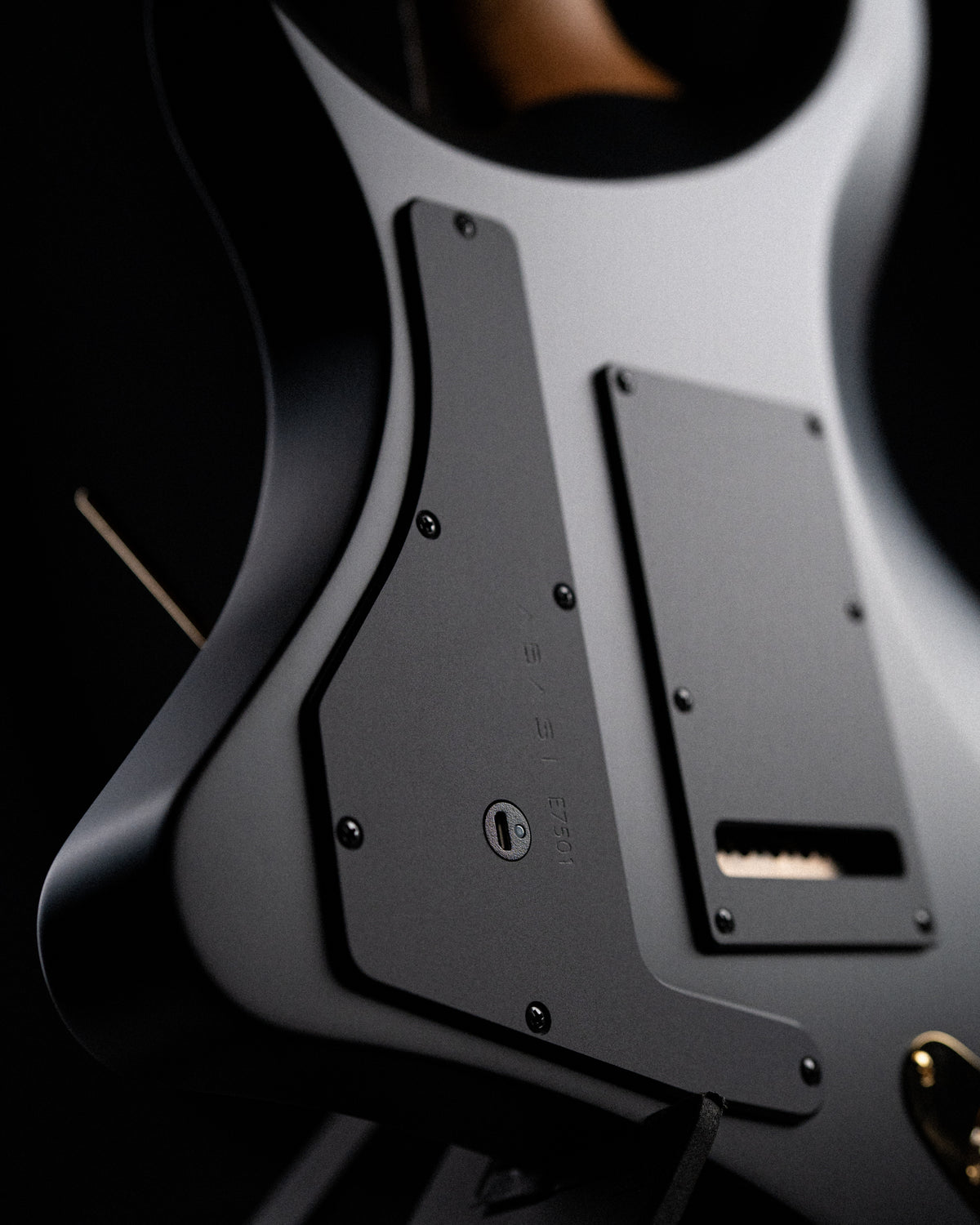 ĒMI 7 // MASTER SERIES // BLACK BEAUTY