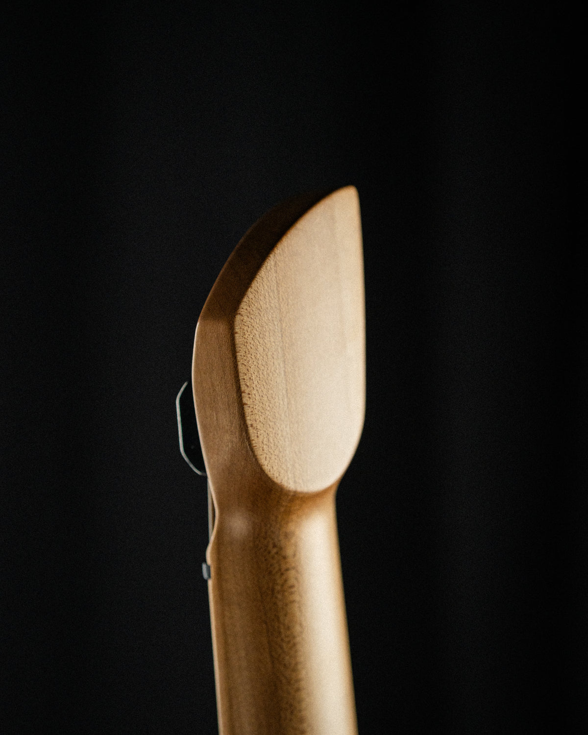 Larada 5 Bass // Master Series // Black