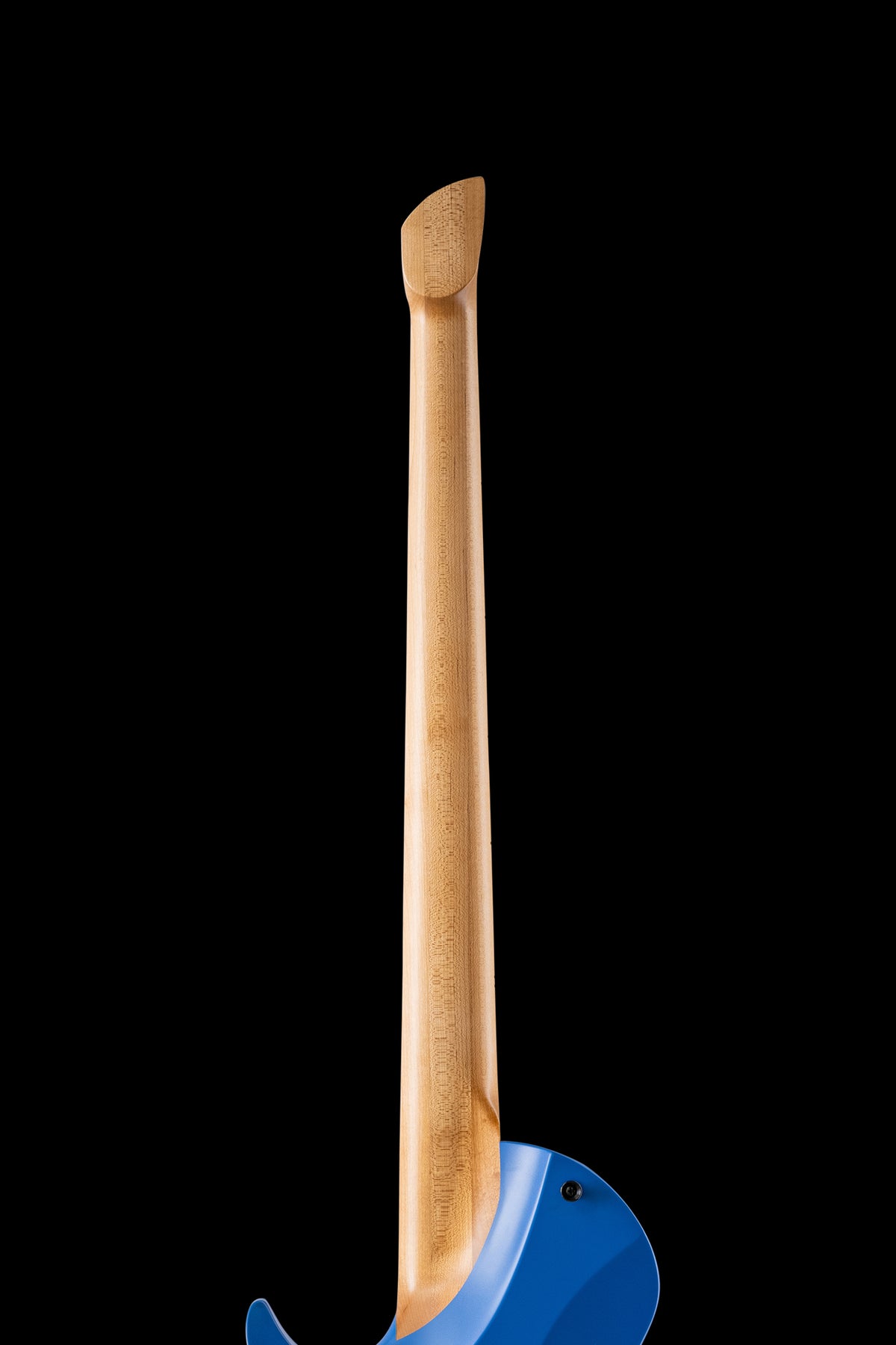 Larada 5 Bass // Master Series // Clarion Blue