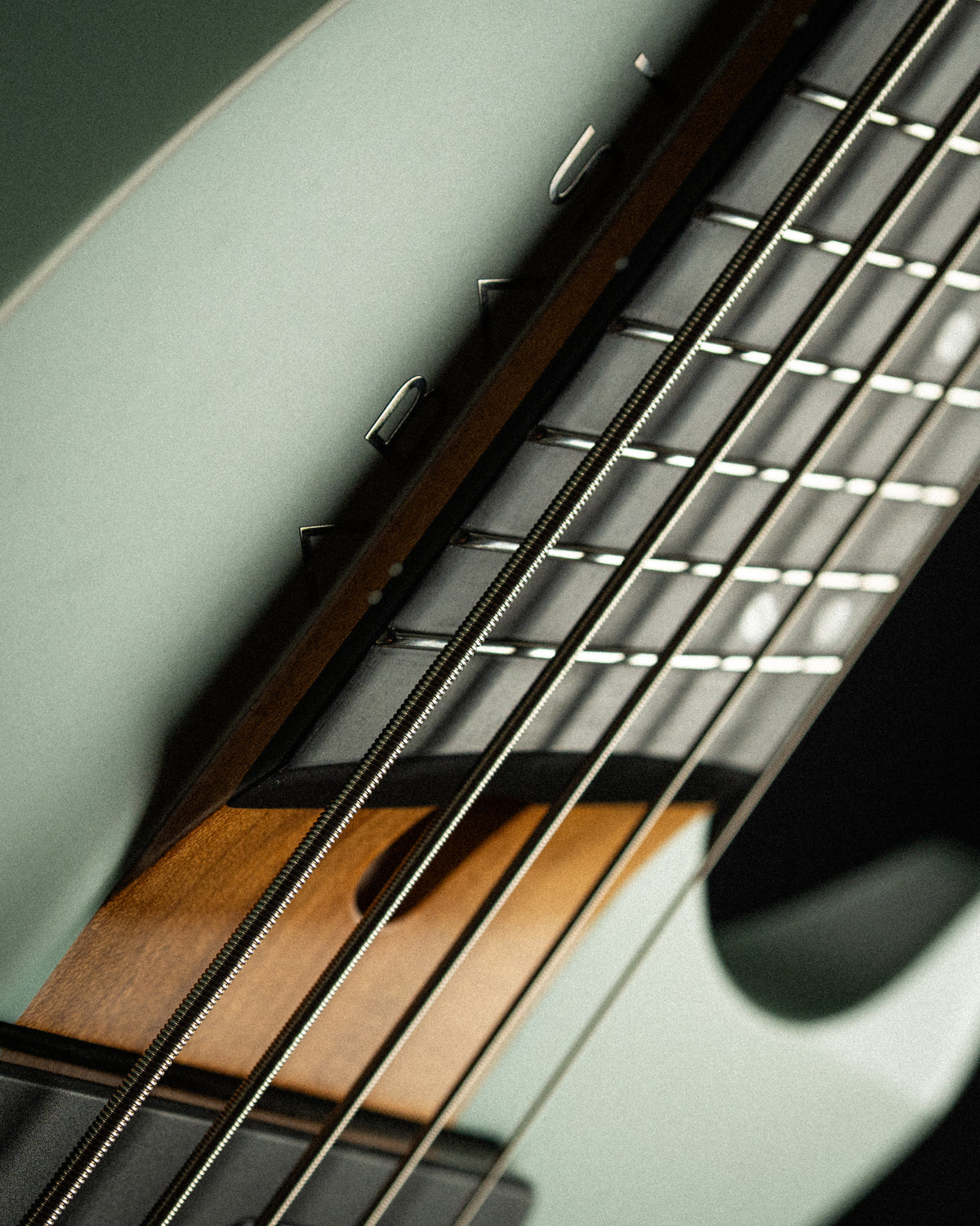 Larada 5 Bass // Master Series // Sage