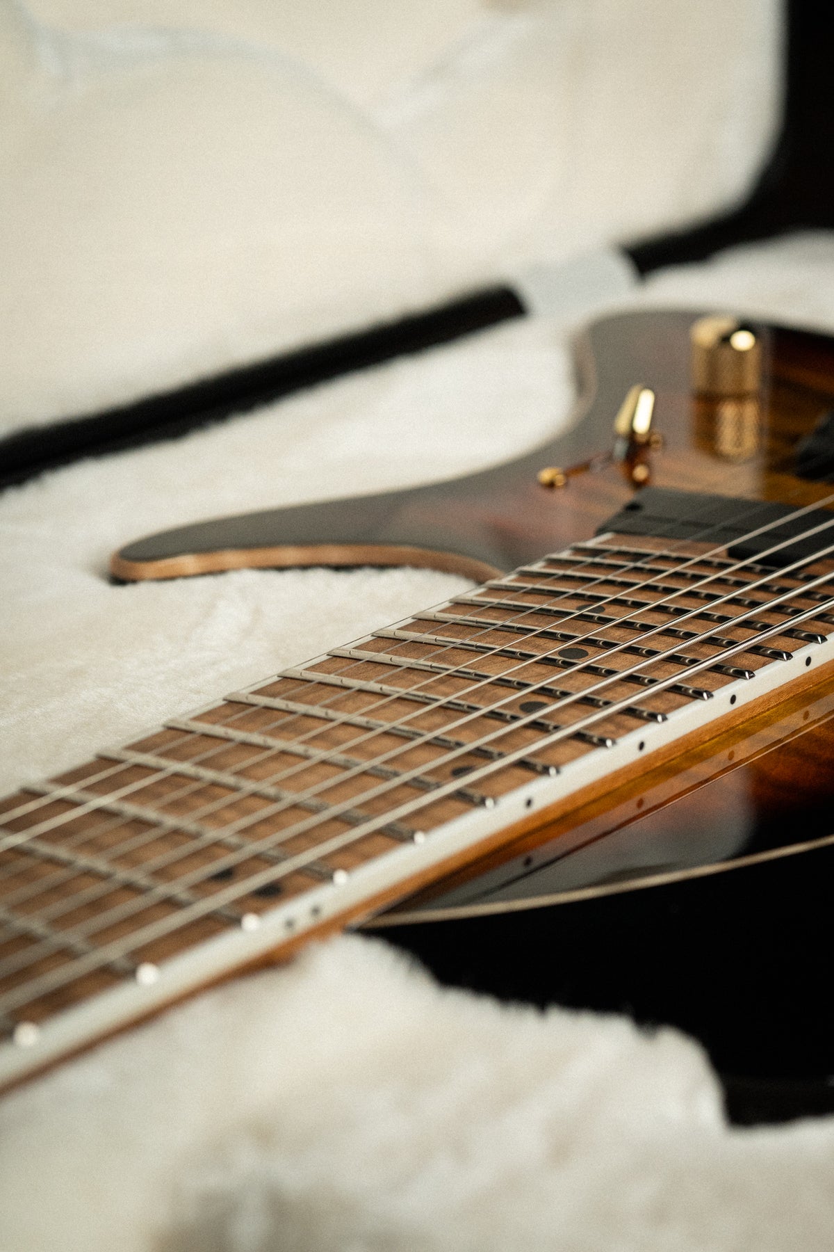 ABASI Concepts Hardshell Case