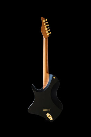 SPACE T // Modern // Black Beauty