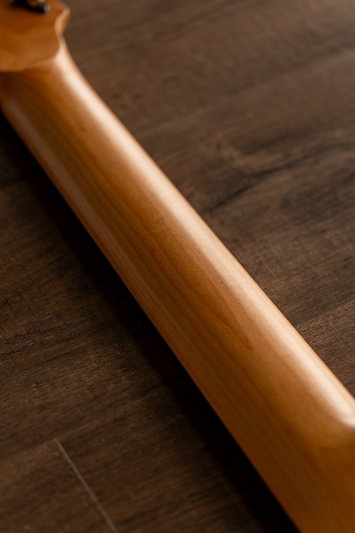 LARADA 8 // Master Series // Shell Pink [Relic]