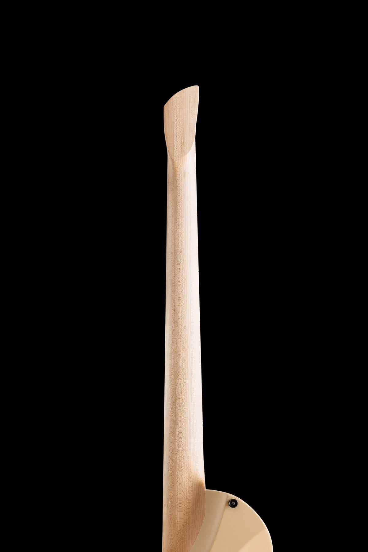 Larada 5 Bass // Master Series // Latte